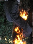 image of fire