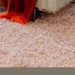 image of carpet #22