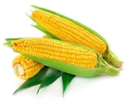 image of sweetcorn #9