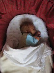 image of cradle