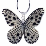 image of jewellery
