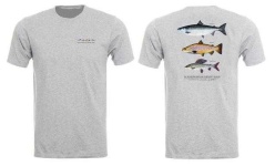 image of t_shirt