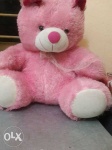 image of teddy_bear