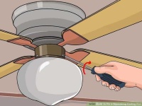 image of fan