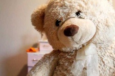 image of teddy_bear
