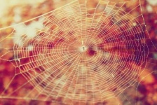 image of texture