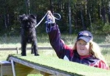 image of affenpinscher