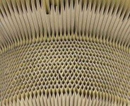 image of texture
