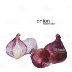 image of onion #21