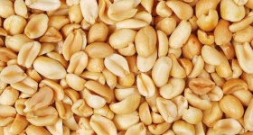 image of peanut
