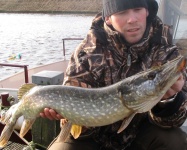 image of barracouta