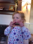 image of harmonica