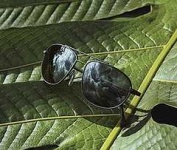 image of sunglass