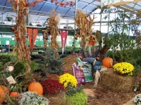 image of greenhouse