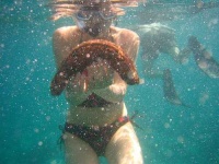 image of sea_cucumber