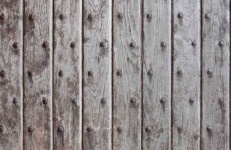 image of texture