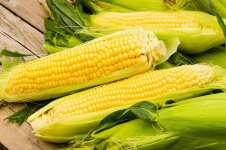 image of fruit_and_vegetable