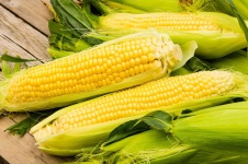 image of sweetcorn #21