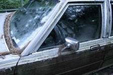 image of beach_wagon_car