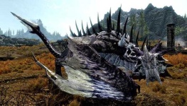 image of dragon