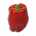 image of capsicum #2