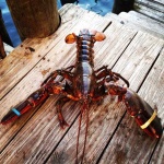image of lobster