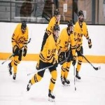 image of hockey #21