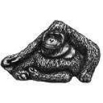 image of orangutan