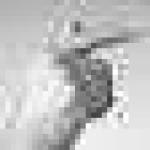 image of sign_language