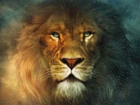 image of animal