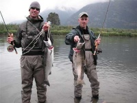 image of coho