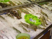image of crayfish