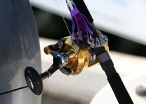 image of reel
