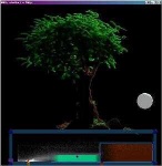 image of tree