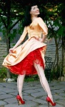 image of hoopskirt