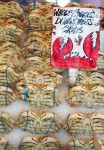image of dungeness_crab