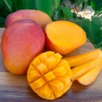 image of mango #17