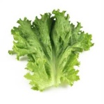 image of lettuce #11