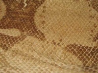 image of texture