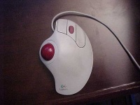 image of mouse