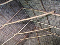 image of thatch
