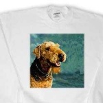 image of airedale