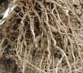 image of texture