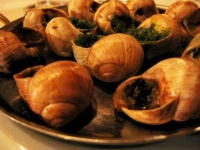 image of escargots #15