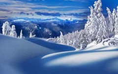 image of snowy