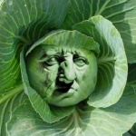 image of cabbage #3