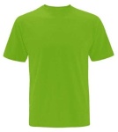 image of green_shirt #2