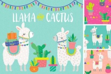 image of cactus