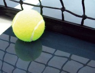 image of tennis_ball #21