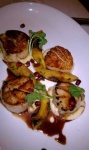 image of scallops #18